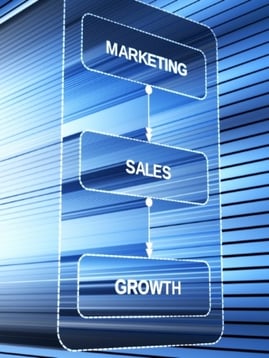Consulting services in Marketing & Sales leads to growth